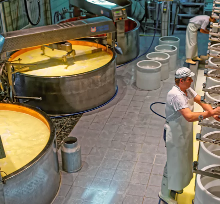 Gıda Üretim Tesisleri