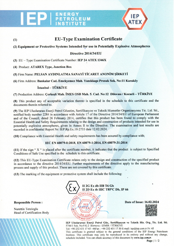 Atex - Atarex Juction Box